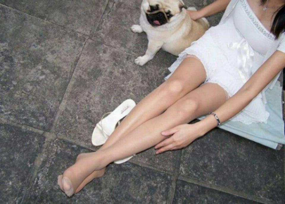 14P Legs in nylon
