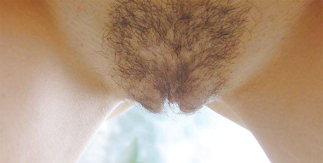 25P To Bush or not to Bush