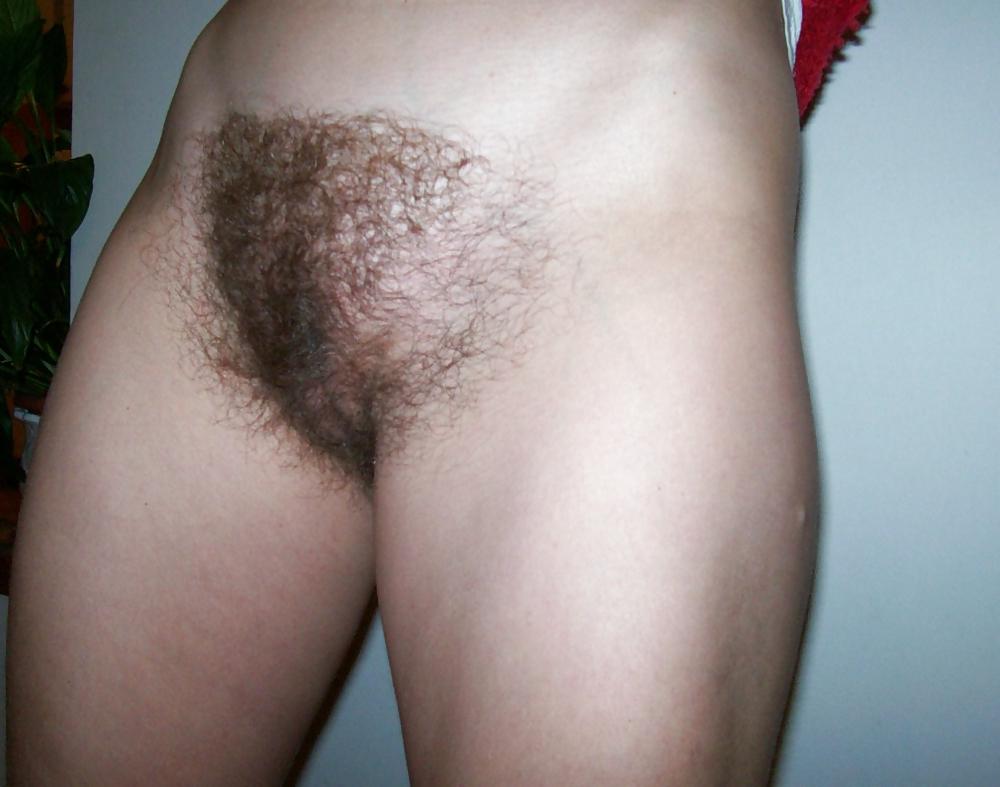 12P Hairy Pussy 10.