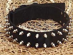 12P Collar