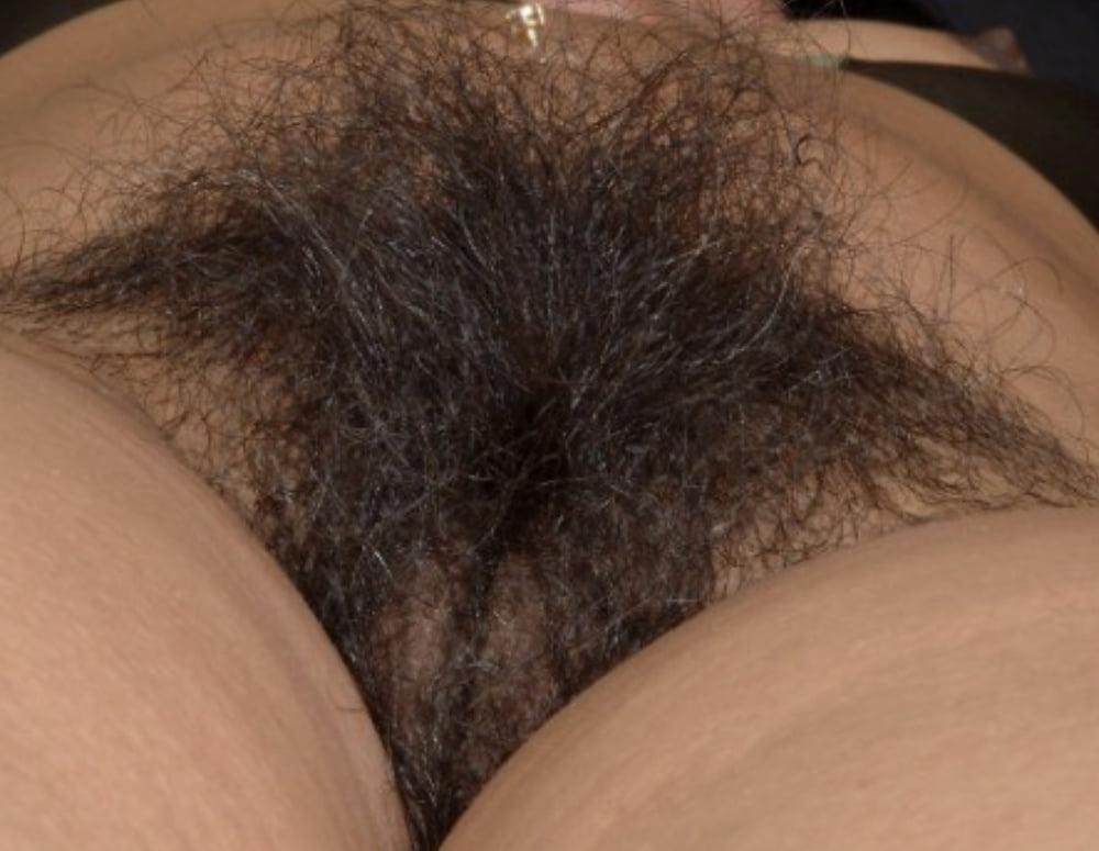 25P Indian hairy pussy