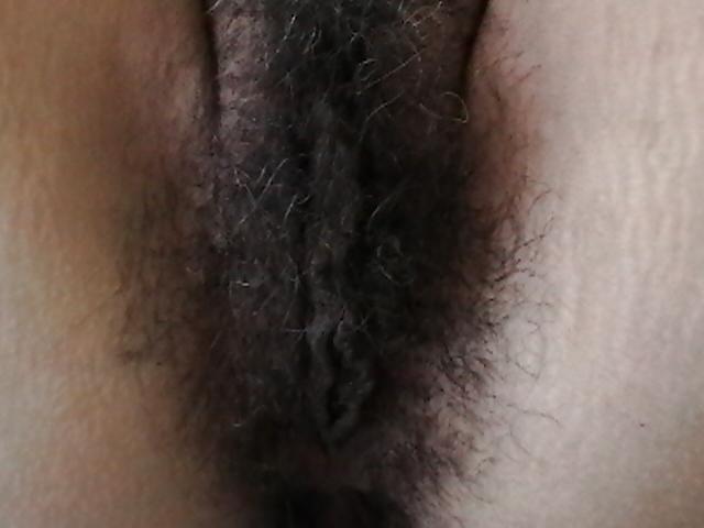 16P More Hairy Latin Lady