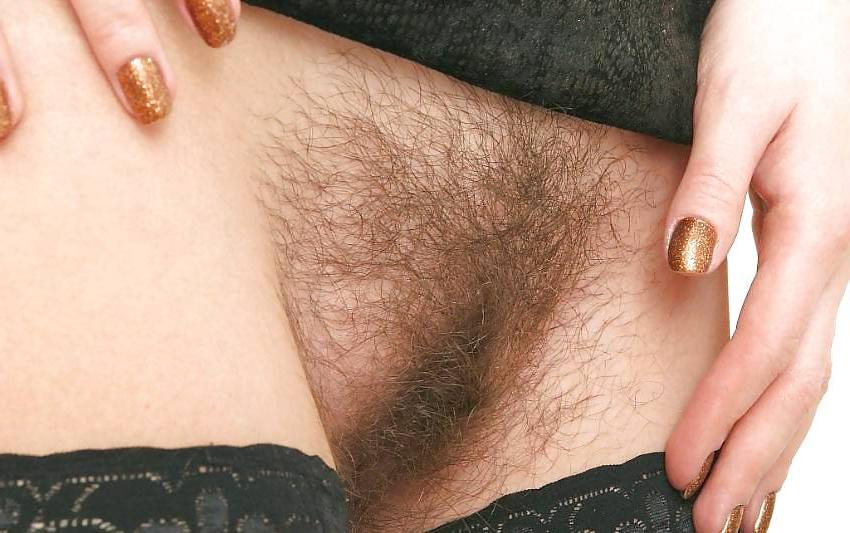 16P Hairy pussy !