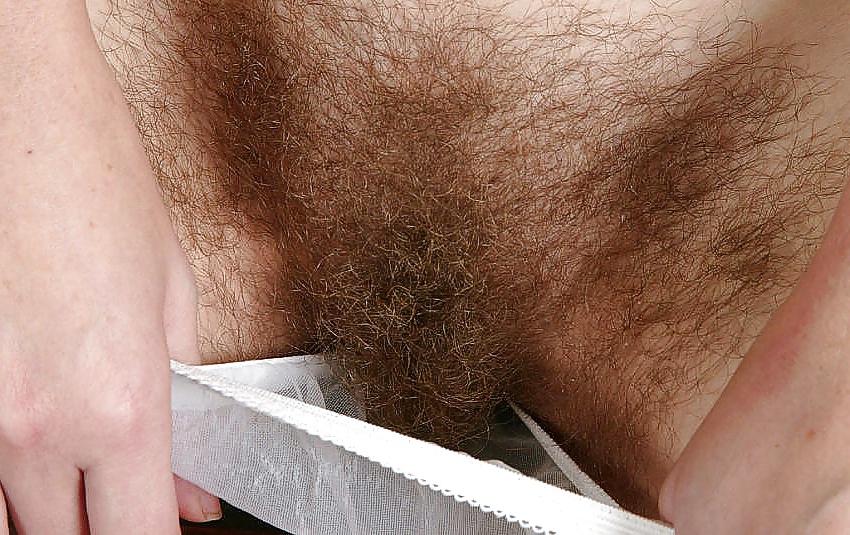 16P Hairy pussy !