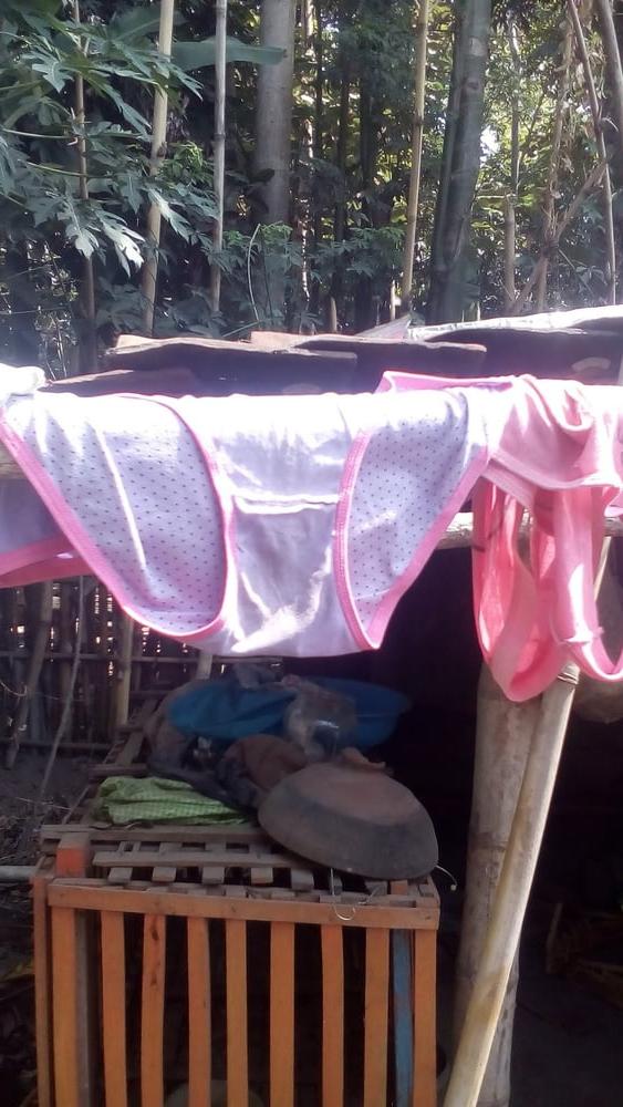 14P Assamese girl and women pants