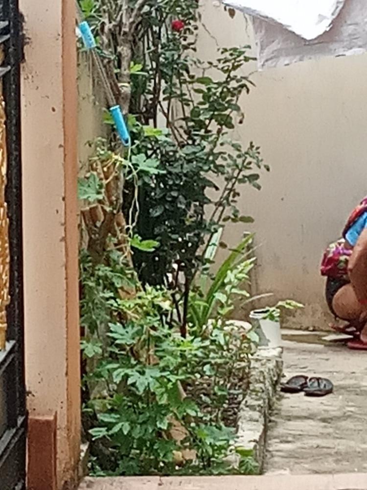 6P Side vali anty ko mutte hue dekha aur hilaya aunty ki chaddi