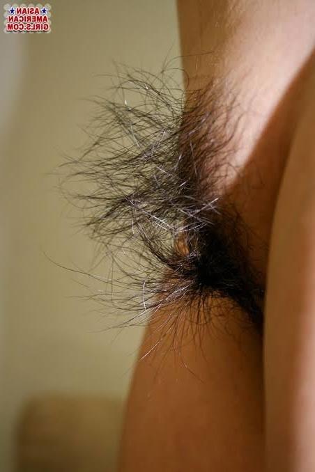 24P Hairy Asian Bush, Hairy Asian Pussy, Asian Muff Fluff