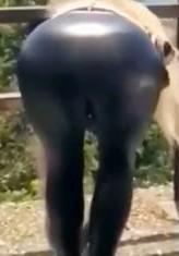 25P Leather ass 6