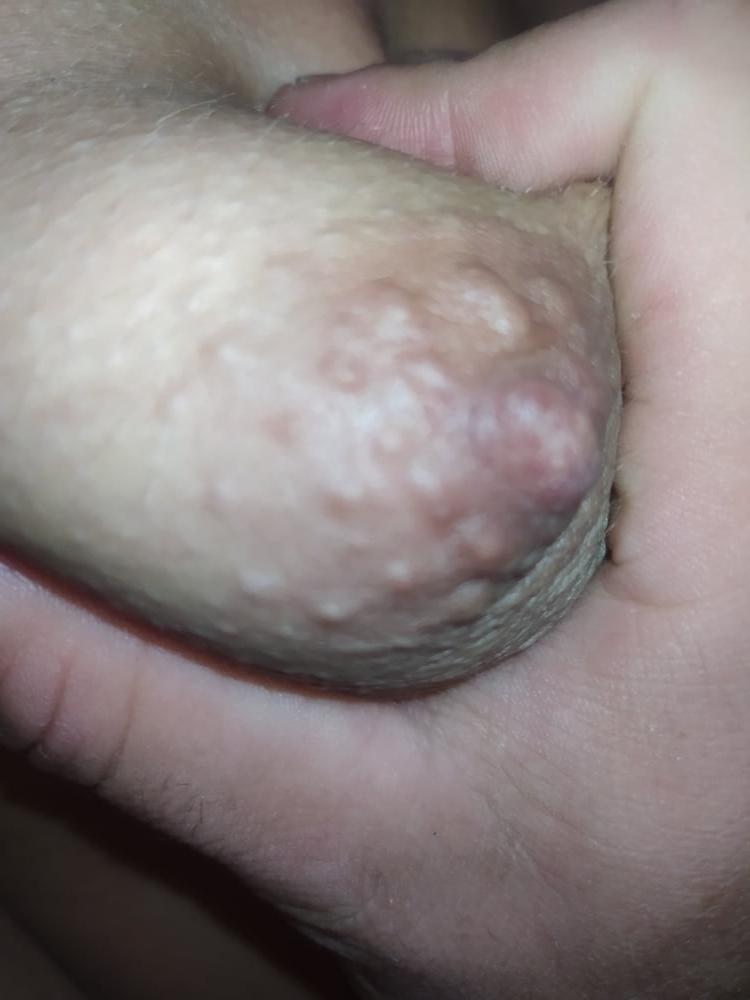 23P Young Tits For You