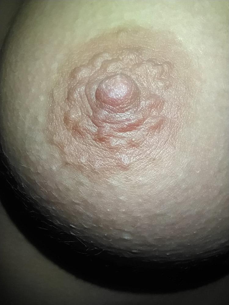 23P Young Tits For You