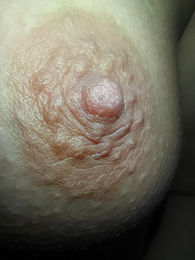 23P Young Tits For You
