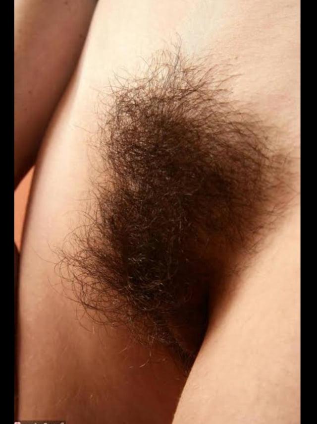 24P Blonde Bush, Brunette Bush, Hairy Pussy Girls 3