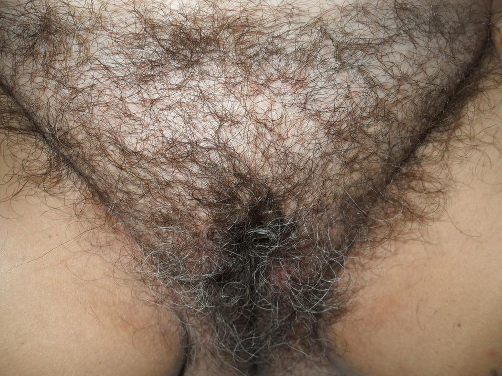19P Enjoy My Wife's Hairy Pussy