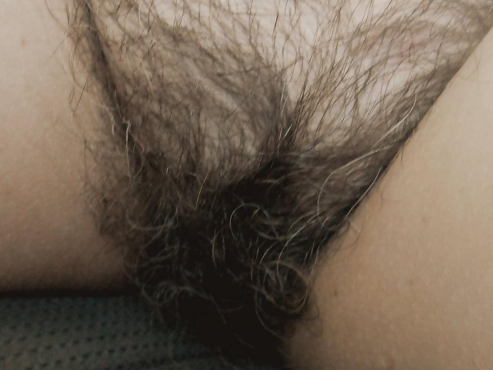 19P Enjoy My Wife's Hairy Pussy