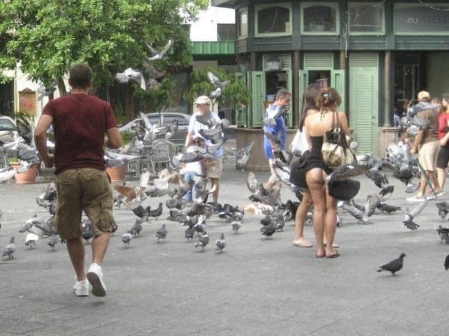 25P Amateur Sluts Public Flashing! - 199!