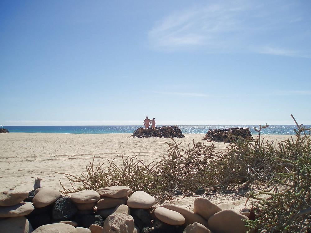 11P Cock on the beach