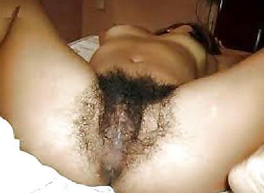 22P Nice big bush