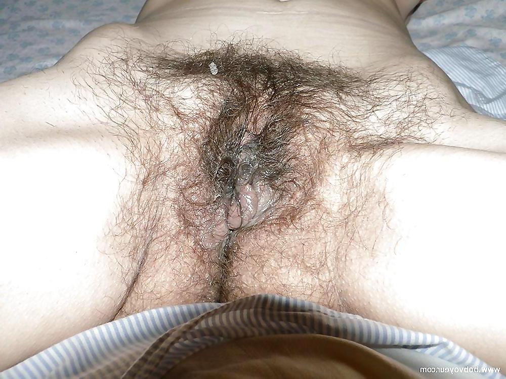22P Nice big bush