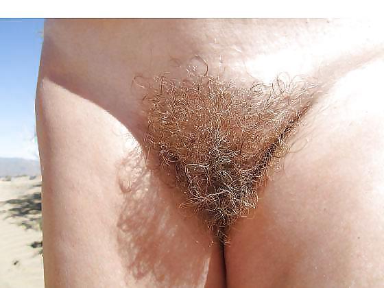 22P Nice big bush