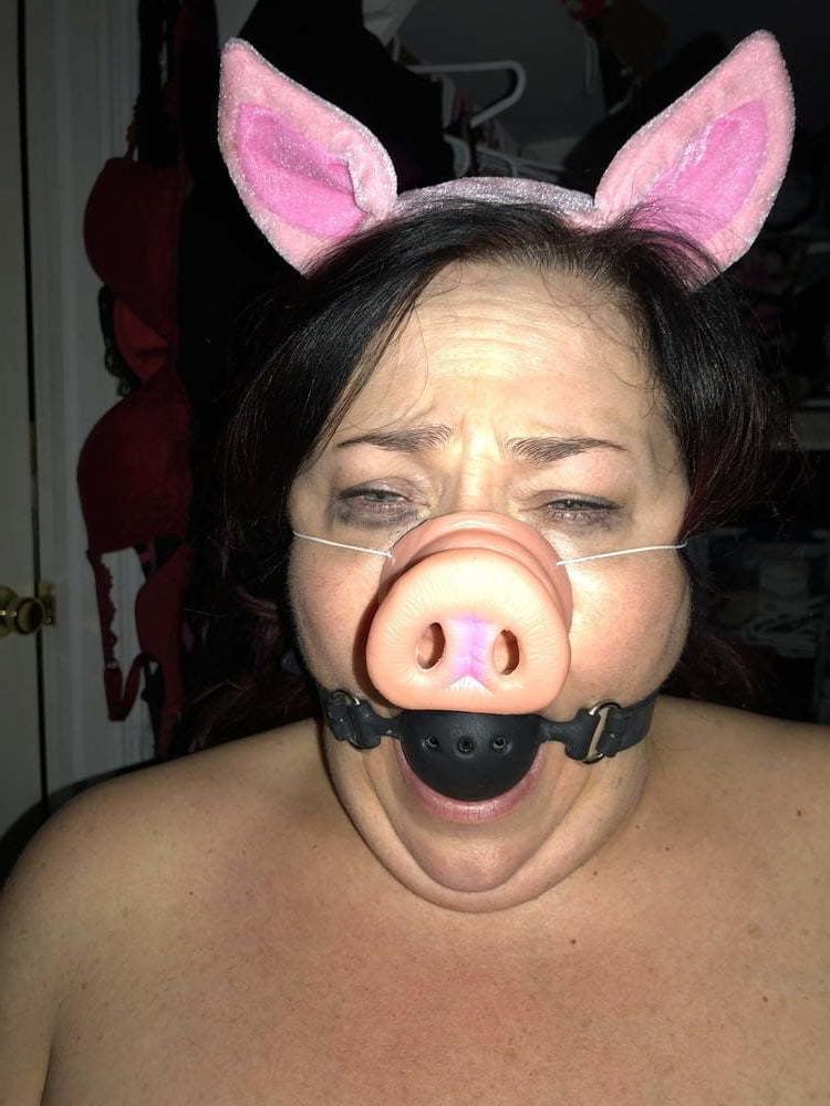 11P Scottish (1 Welsh) Chubbys
