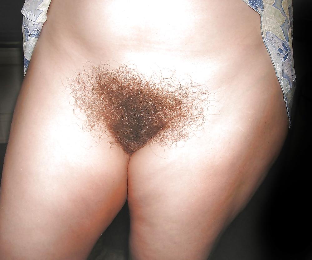 14P Nice hairy woman