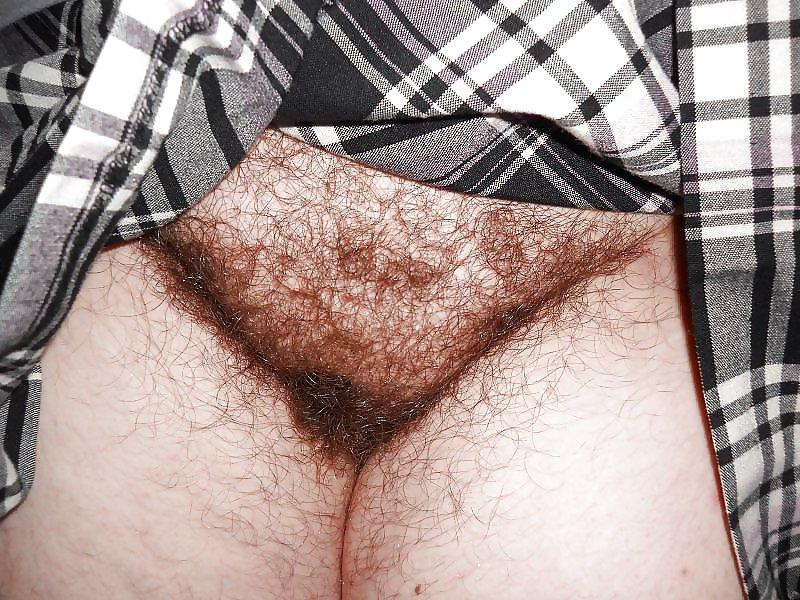 14P Nice hairy woman