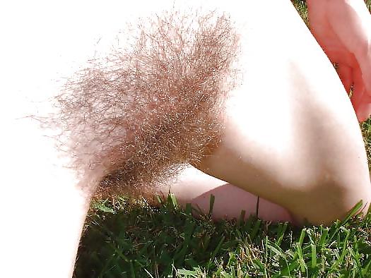14P Nice hairy woman