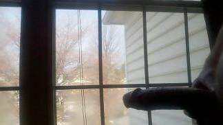 12P Flashing my cock at the window