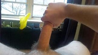 12P Flashing my cock at the window