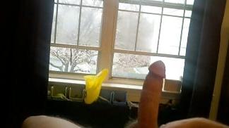 12P Flashing my cock at the window