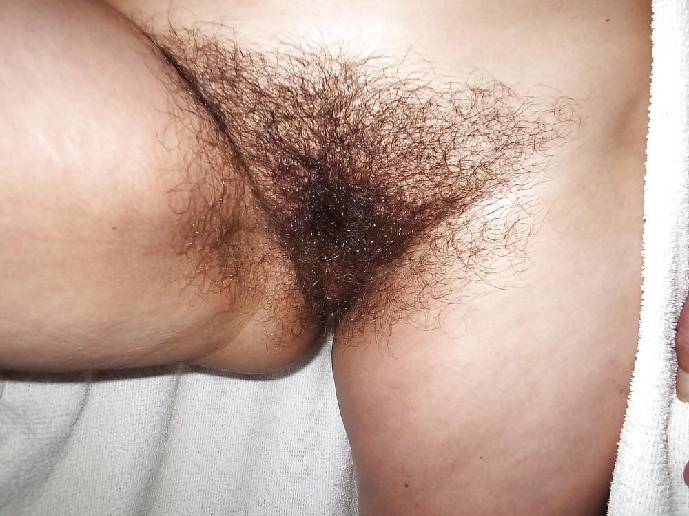 4P What would u like the wife to do with her hairy pussy