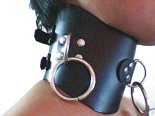 20P Collared 33!