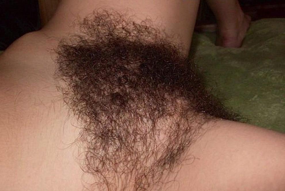 25P hairy pussy 4