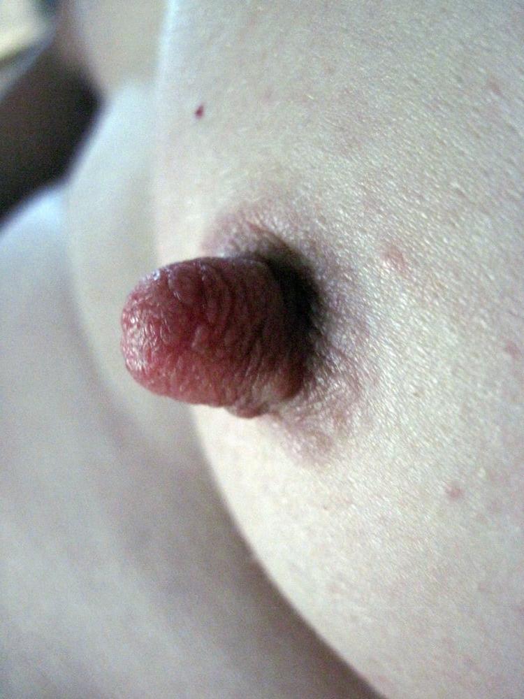 25P My Wife's lovely hard nipples and tiny tits