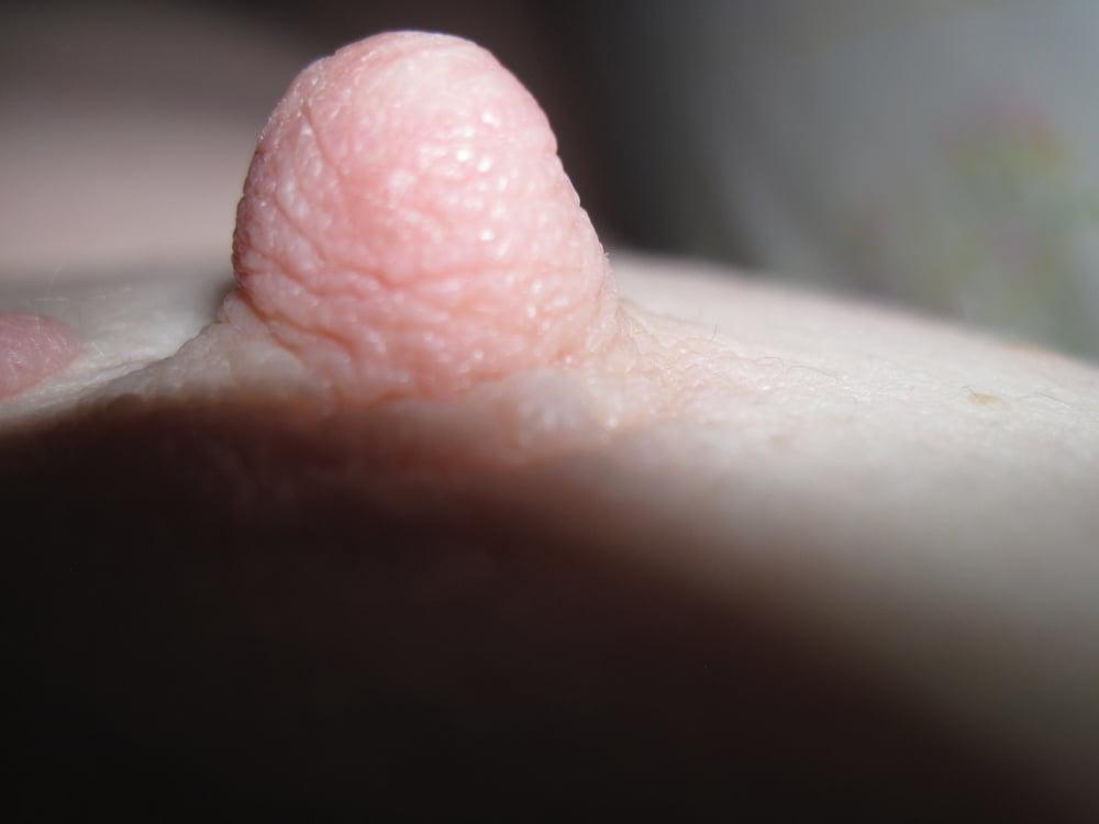 25P My Wife's lovely hard nipples and tiny tits