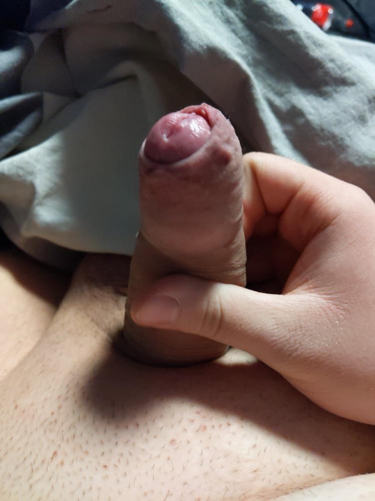 24P Cock Pictures #30 hard like a rock