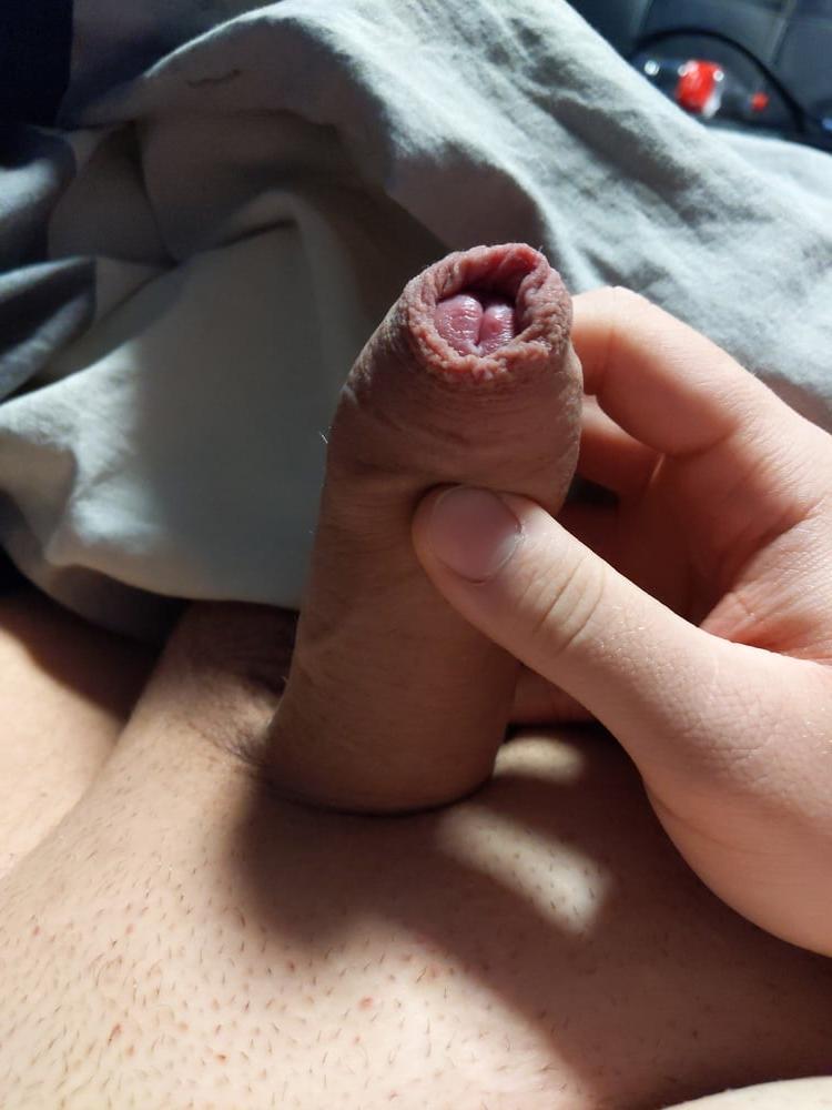 24P Cock Pictures #30 hard like a rock