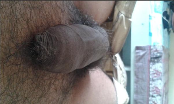 18P My Hard cock