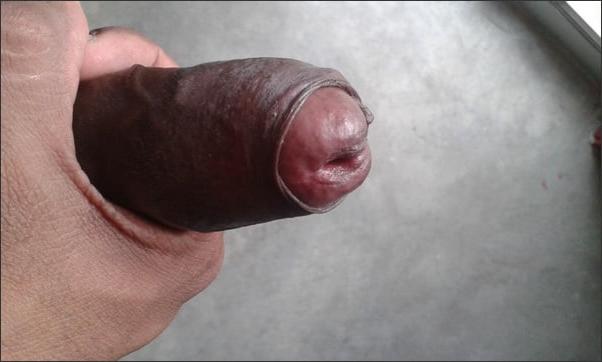 18P My Hard cock