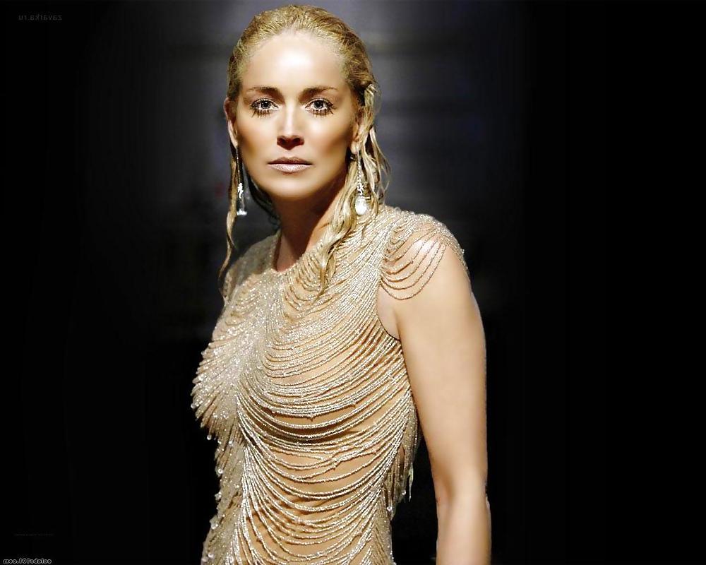 14P Sharon Stone See-Thru
