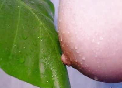 14P Tits and breasts women and lesbians - tata tota lesbian blog