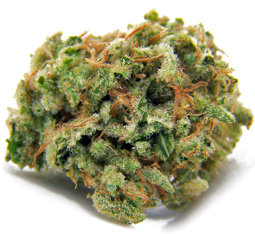 15P Medical Marijuana Delivery Service