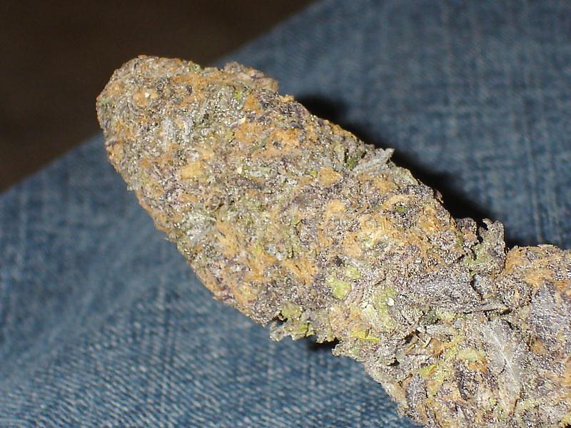 15P Medical Marijuana Delivery Service