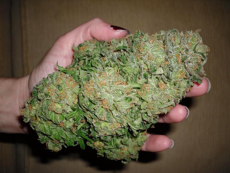 15P Medical Marijuana Delivery Service