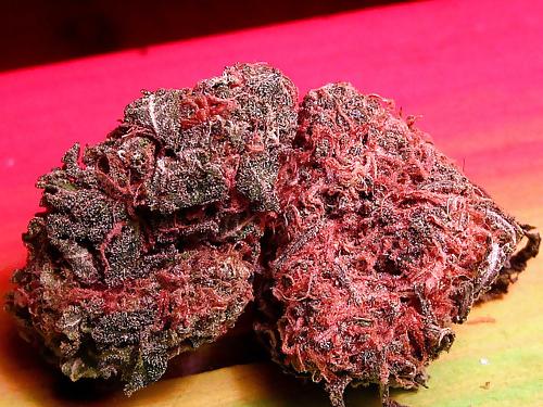 15P Medical Marijuana Delivery Service