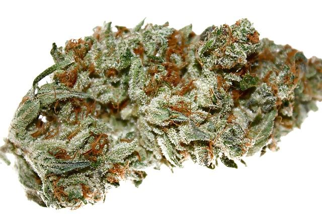 15P Medical Marijuana Delivery Service