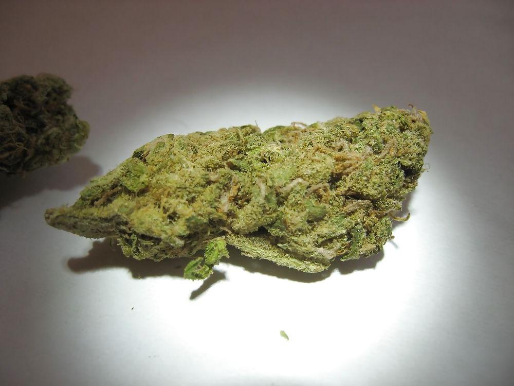 15P Medical Marijuana Delivery Service