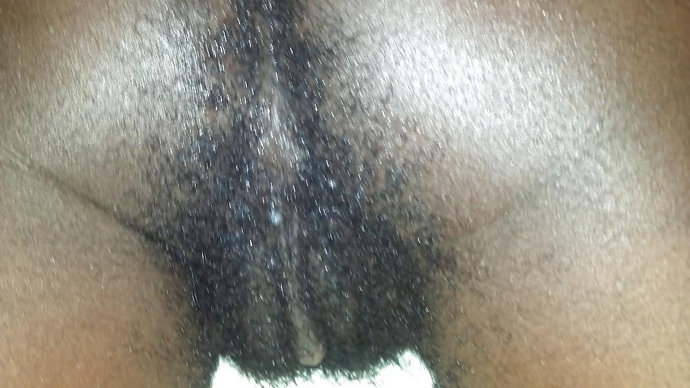 5P PUSSY BEAR (hairy pussy)