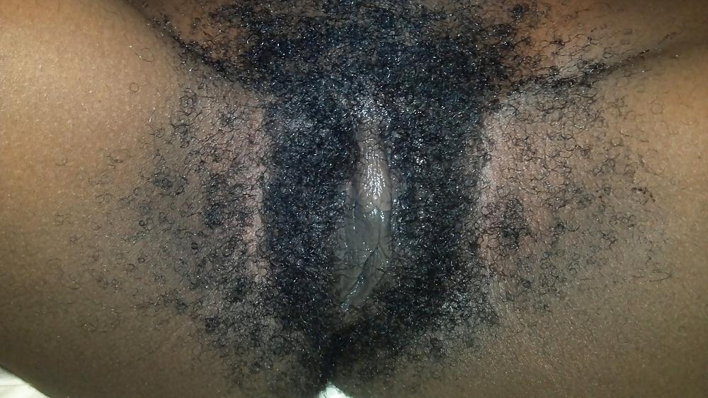 5P PUSSY BEAR (hairy pussy)
