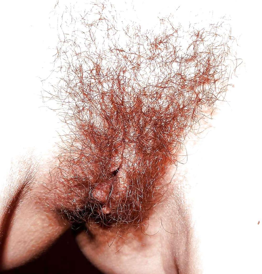 4P Picture compilation of my hairy pussy